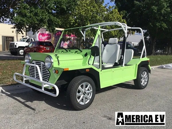Light Green Mokee 4 Passenger Golf Cart affordable golf cart rental, golf cart rent kentucky