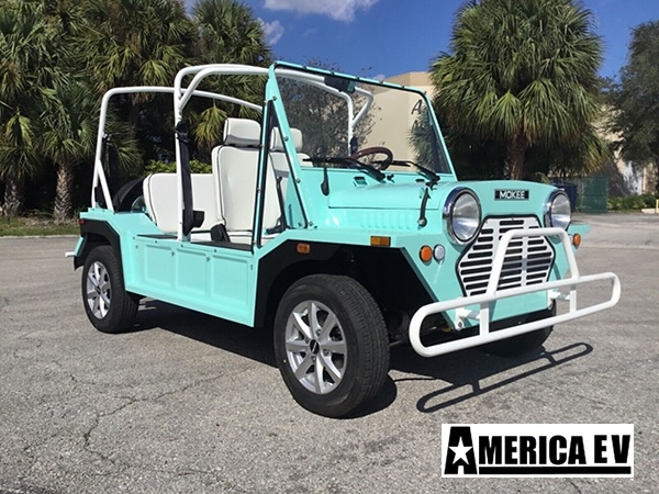Mint Mokee 4 Passenger Golf Cart affordable golf cart rental, golf cart rent kentucky